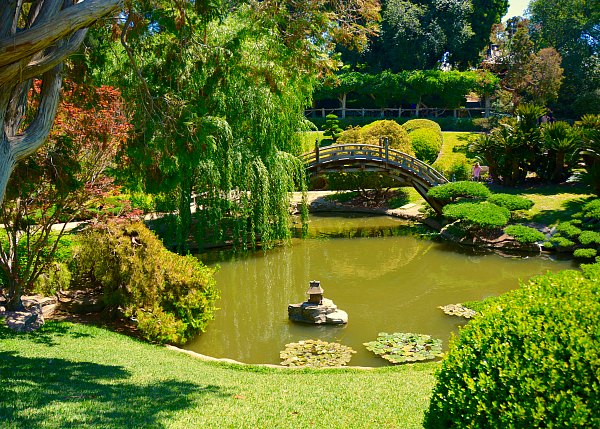 jardim japonês