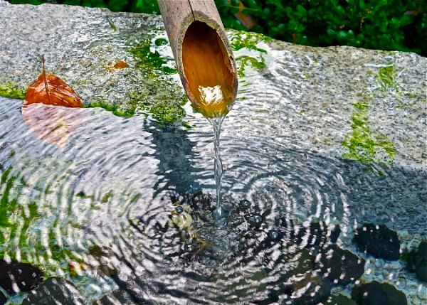 jardim japonês