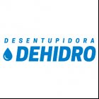 DEHIDRO DESENTUPIDORA