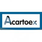 ACARTOEX GESSO