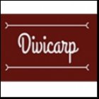 DIVICARP COMERCIAL
