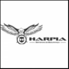 HARPIA SISTEMAS DE SEGURANÇA